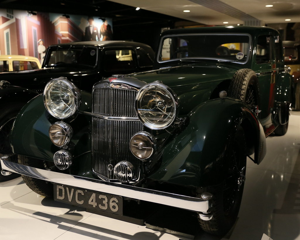 Eagles to Dragonflies