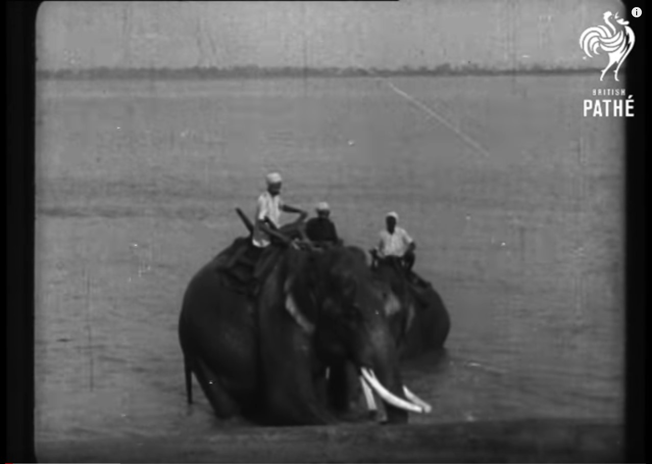 Family Reflections on VJ Day