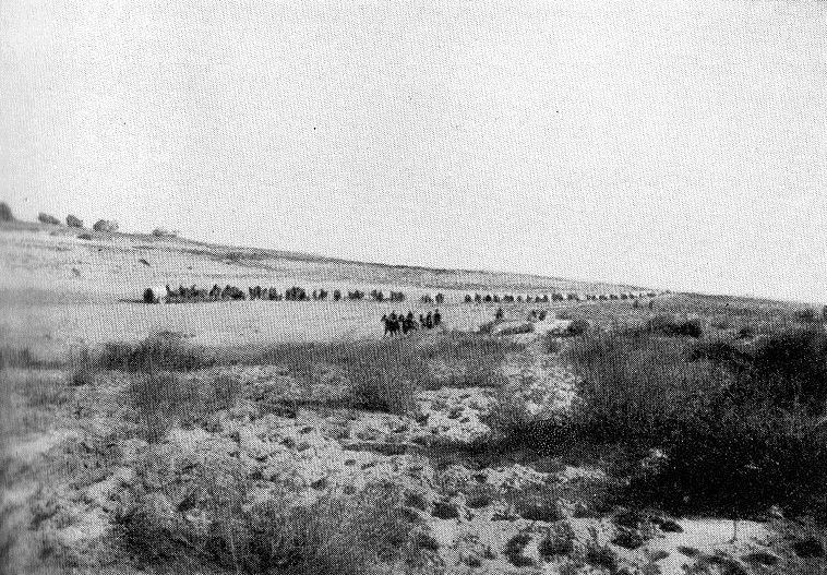 British ambulance wagons after the Battle of Rafa, 1917