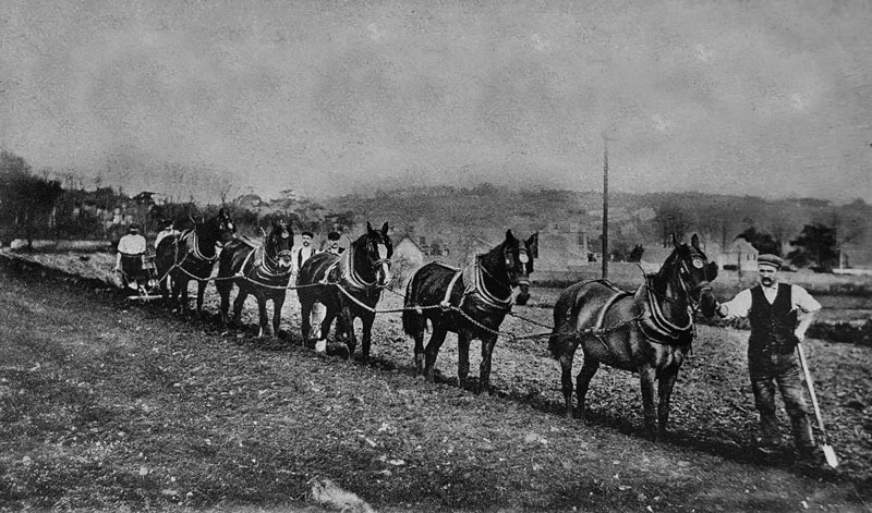 Ploughing at the Le Brun farm in St Laurence, Jersey, c1900