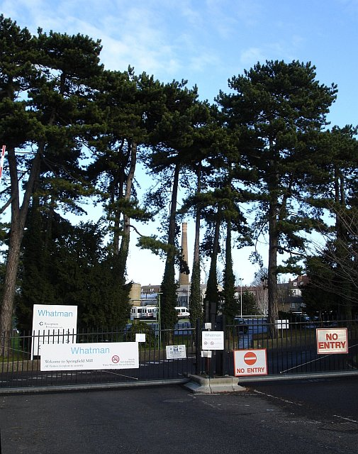 Maidstone Springfield