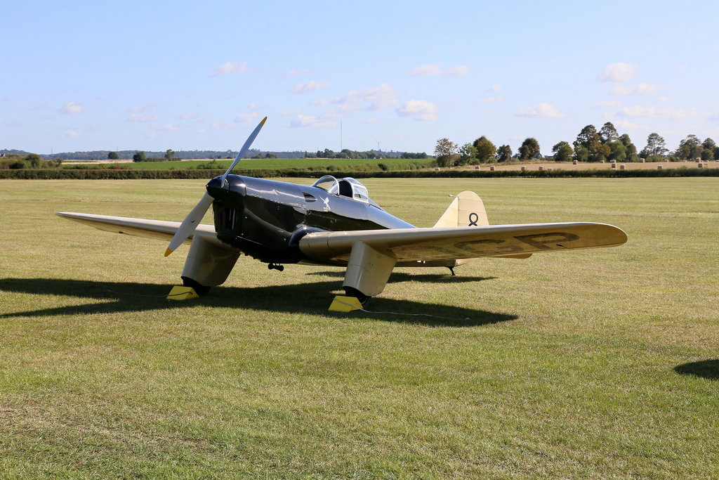 Some Parrots Can Fly