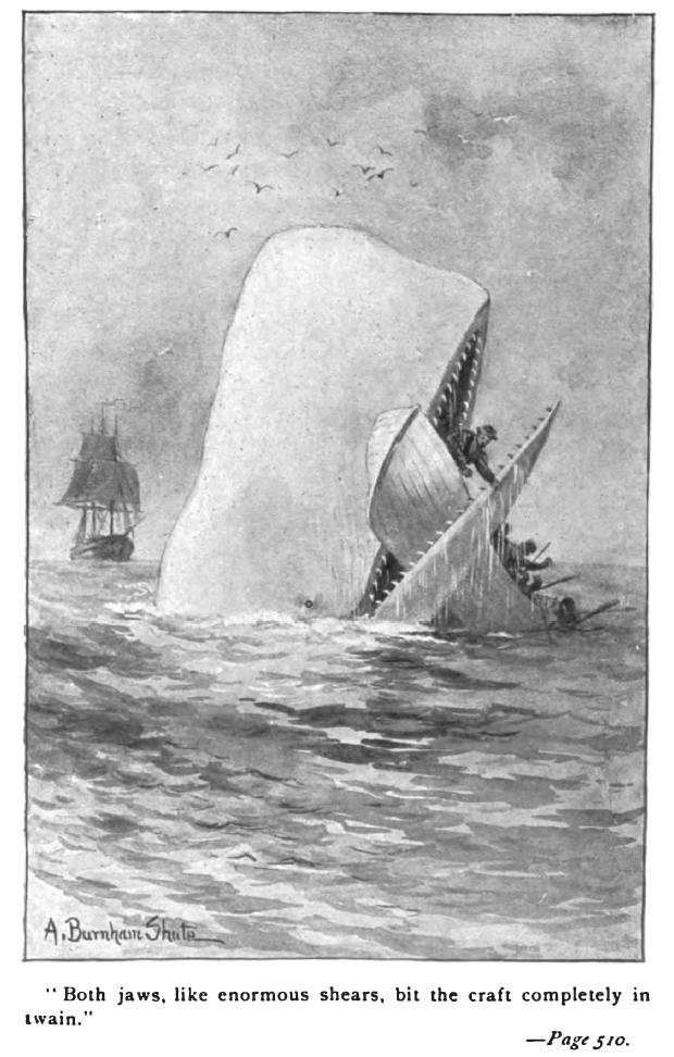 Illustration from Moby Dick