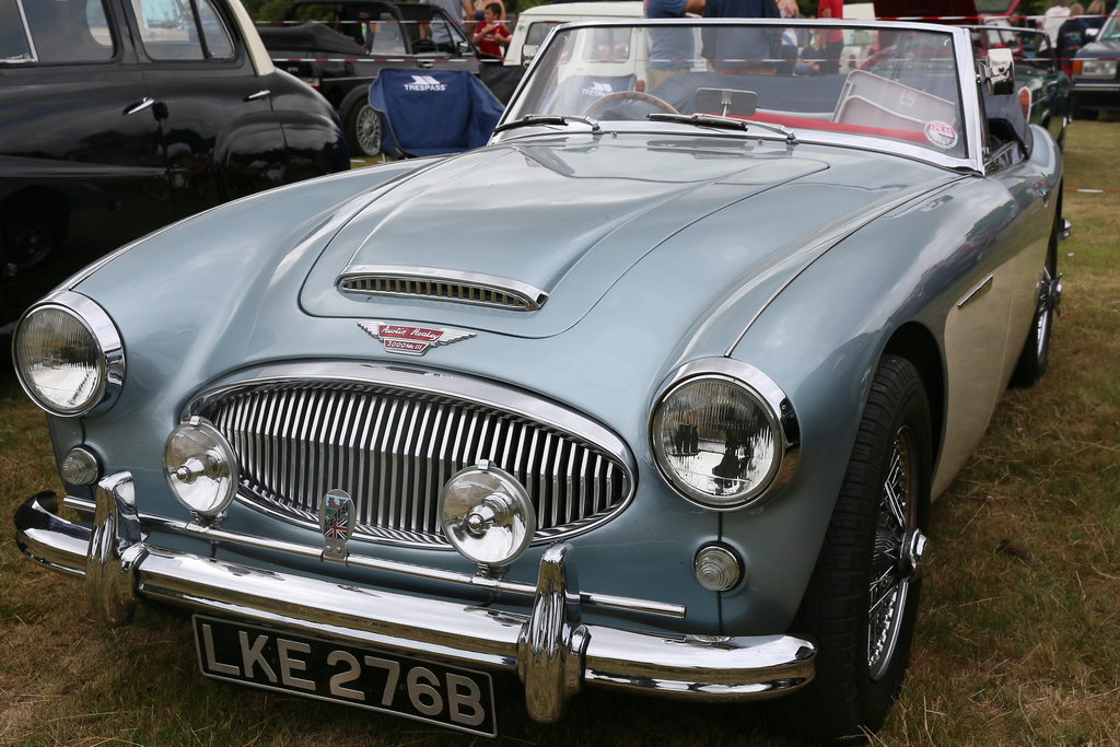 Austin-Healey 100 and 3000 (1953-1968)
